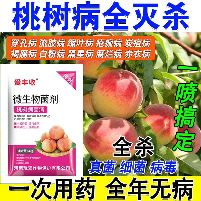 桃树病菌清病害全杀黑星病白粉病叶斑病缩叶病桃树杀菌微生物肥料