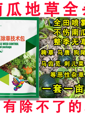 南瓜除草剂快速杀杂草蔬菜苗后除草剂杀香附烂根苗后除草剂农药