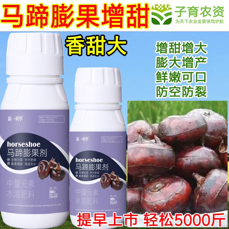 马蹄膨大剂马蹄叶面肥马蹄膨大增甜防病防畸增产增收马蹄增产肥料