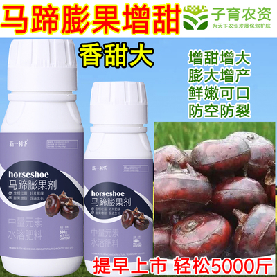 马蹄膨大剂马蹄叶面肥马蹄膨大增甜防病防畸增产增收马蹄增产肥料