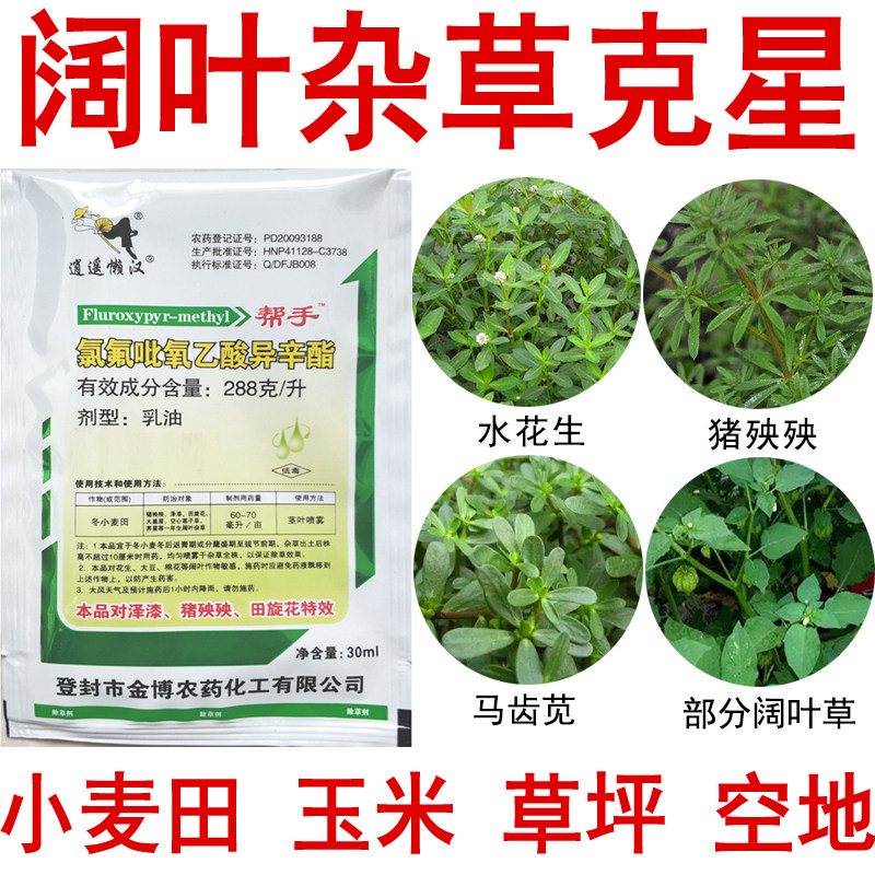 氯氟吡氧乙酸田旋花牵牛花鸭跖草兰花草阔叶杂草小麦田草坪除草剂