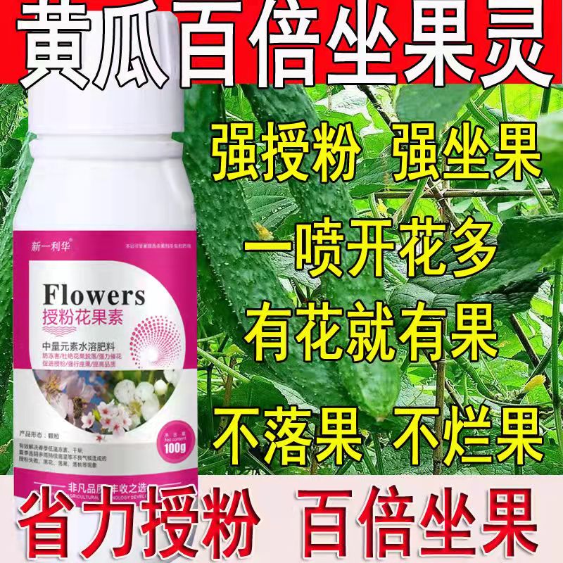 黄瓜专用授粉药强效授粉座果精授粉花果素防落素保花保果素沾花素