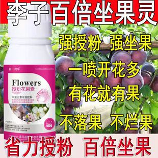 李子专用授粉药强效授粉座果精授粉花果素防落素保花保果素沾花素