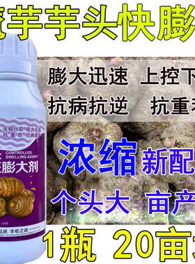 魔芋膨大剂肥料芋头利华
