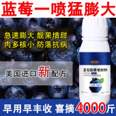 蓝莓猛膨大蓝莓专用叶面肥膨果素蓝莓增产药膨大剂膨大素叶面肥料