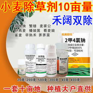 小麦除草剂麦田除草炔草酯苯磺隆二甲四氯钠农药小麦苗后除草10亩