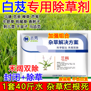 白芨苗后除草剂白芨除草剂专用除草剂禾阔双除不伤苗狗尾草牛筋草