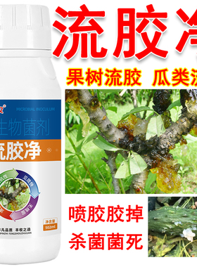 果树樱桃桃树苹果流胶病微生物杀菌剂梨树核桃柑橘子流胶净一喷净