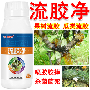 果树樱桃桃树苹果流胶病微生物杀菌剂梨树核桃柑橘子流胶净一喷净