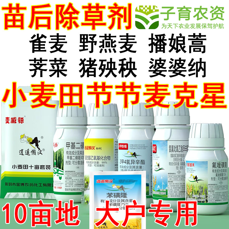 小麦除草剂麦田除草炔草酯苯磺隆甲基二磺隆农药节节麦除草10亩
