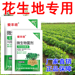 花生专用杀菌剂花生杀菌药花生病菌清全蚀病蛴螬杀菌花生浸种剂