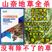 山奈除草剂快速杀杂草百合田苗后除草剂杀香附烂根苗后除草剂农药