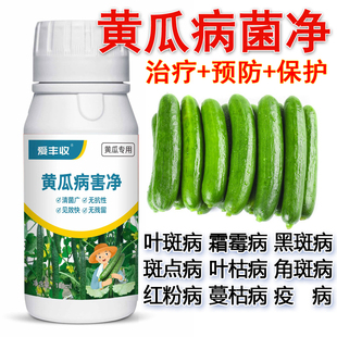 黄瓜病全治进口杀菌剂病毒病角斑病霜霉病褐斑病叶枯病枯萎病病毒