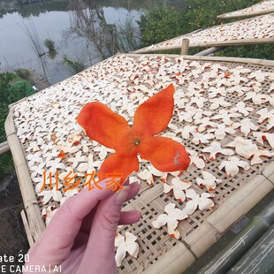 2025年陈允斌推推荐精选川红橘陈皮川老树川陈皮纯手工250g