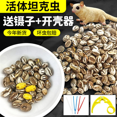 仓鼠零食坦克虫蛋白蜜袋鼯松鼠金丝熊食物鹦鹉洋拉罐增肥长肉
