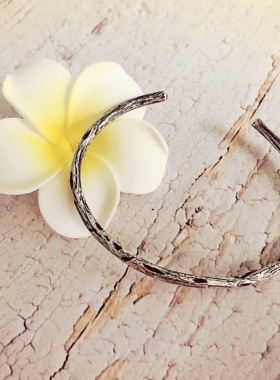 奇幻巷子Joybeads925纯银枯木手镯可穿Trollbeads托贝斯 潘家串珠