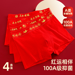 男士内裤纯棉抗菌裆平角裤青少年男款本命年大红色全棉四角短裤头