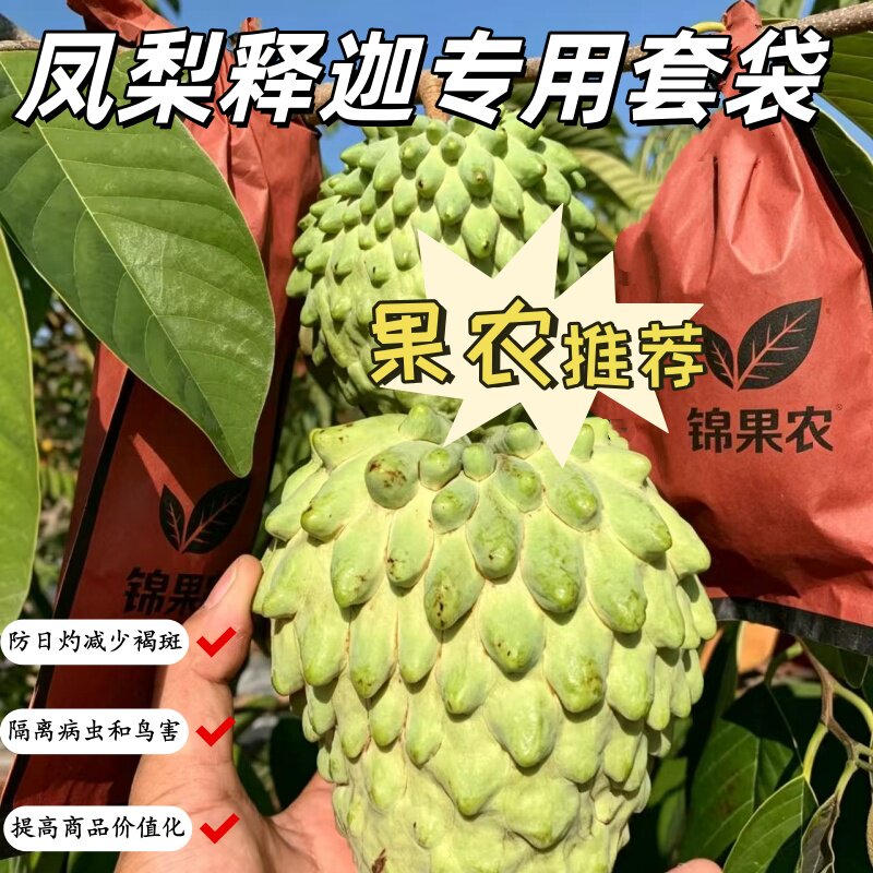 凤梨释迦果套袋防日灼防水防虫