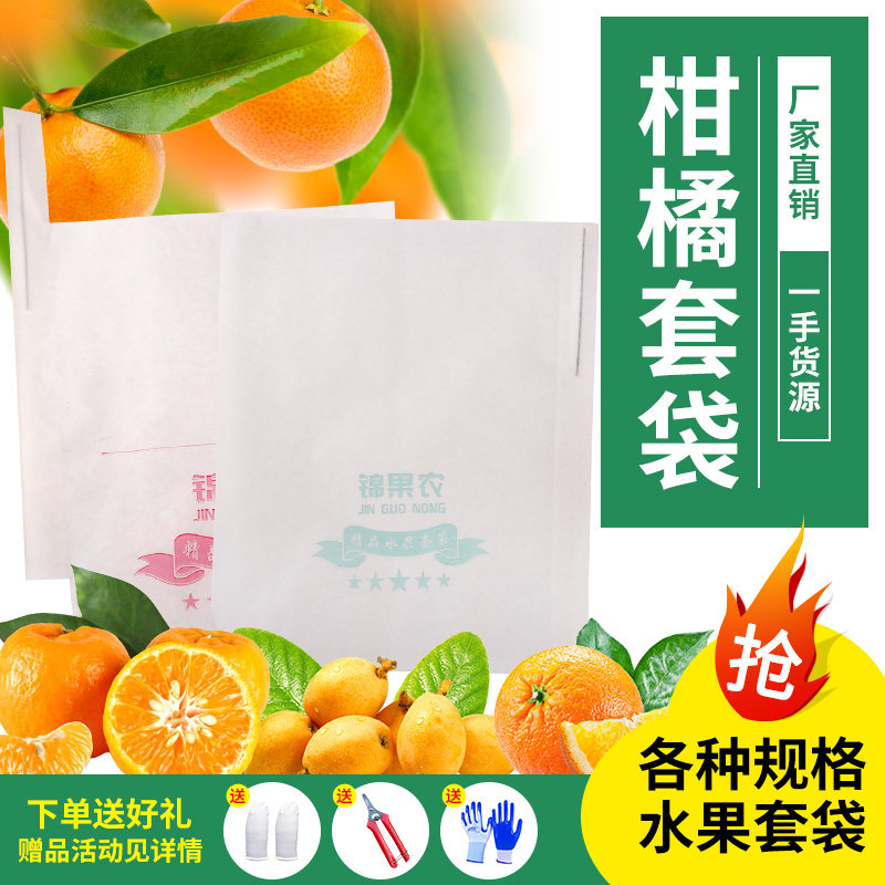 套树上的袋子橘子防虫防日灼套袋图片