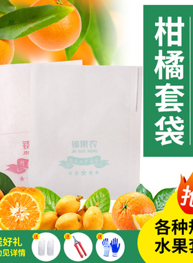 套树上的袋子橘子套袋芒果杨桃白色纸袋桃子果袋套柠檬李子育果袋