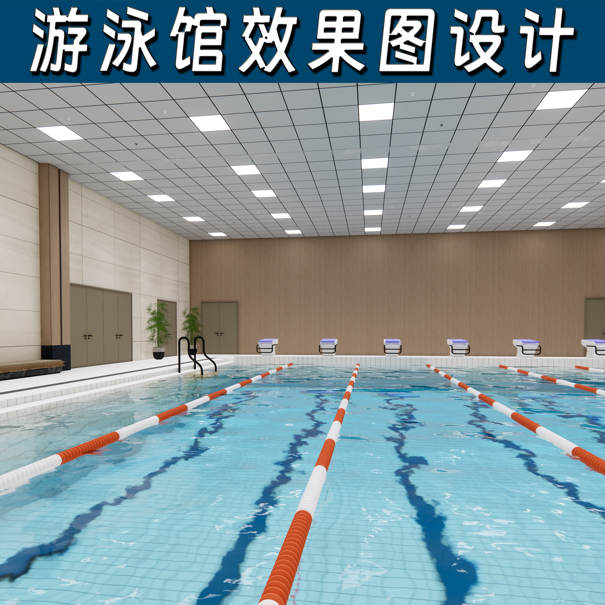 游泳池游泳馆全景3D效果图设计