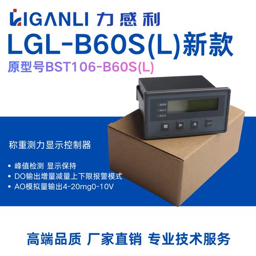 称重测力费仕通BST106-B60S(L)