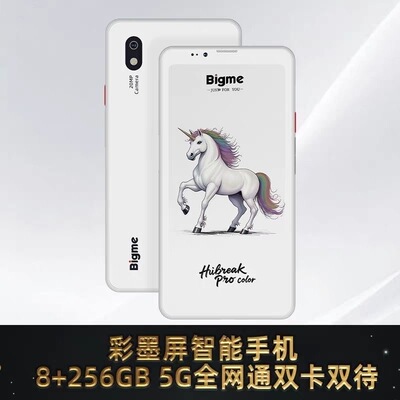 BigmeHiBreakPro护眼墨水屏