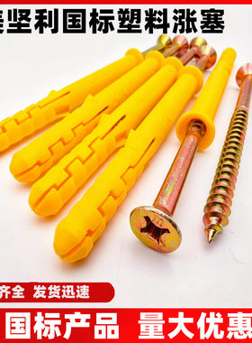 门窗锚固钉加长膨胀螺钉国标涨塞