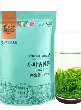 小叶古茶树古丈毛尖湖南湘西