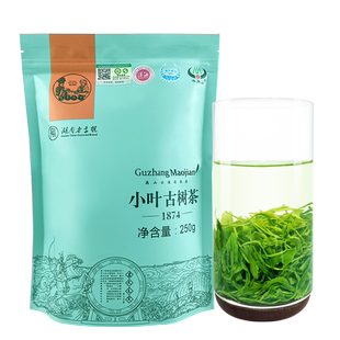 小叶古茶树古丈毛尖湖南湘西高山云雾茶2025明前新茶半斤装250克