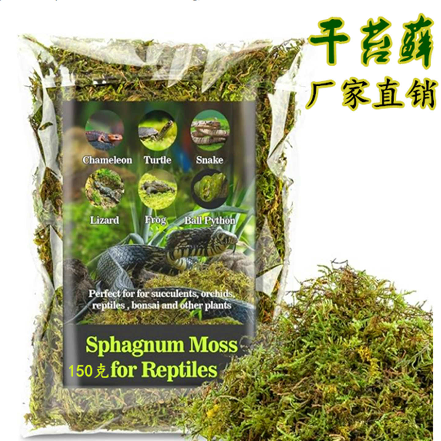 蝴蝶兰花专用水苔干苔藓乌龟冬眠