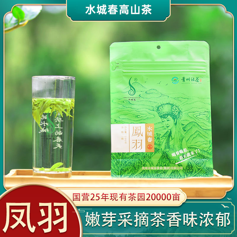 水城春绿茶凤羽袋装2026贵州高山云雾茶叶明前新茶100g