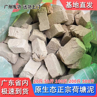 天然荷塘泥种花种菜营养土睡莲水生养花塘泥花土兰花通用有机肥土