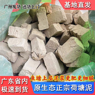 天然荷塘泥种花种菜营养土睡莲水生养花塘泥花土兰花通用有机肥土