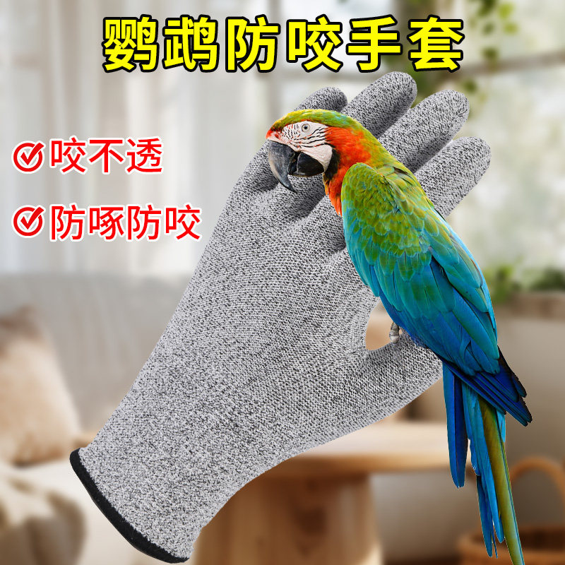 鹦鹉防咬专用手套动物宠物养鸟防抓抓鹦鹉抓鸟训练玩鹦鹉轻薄透气