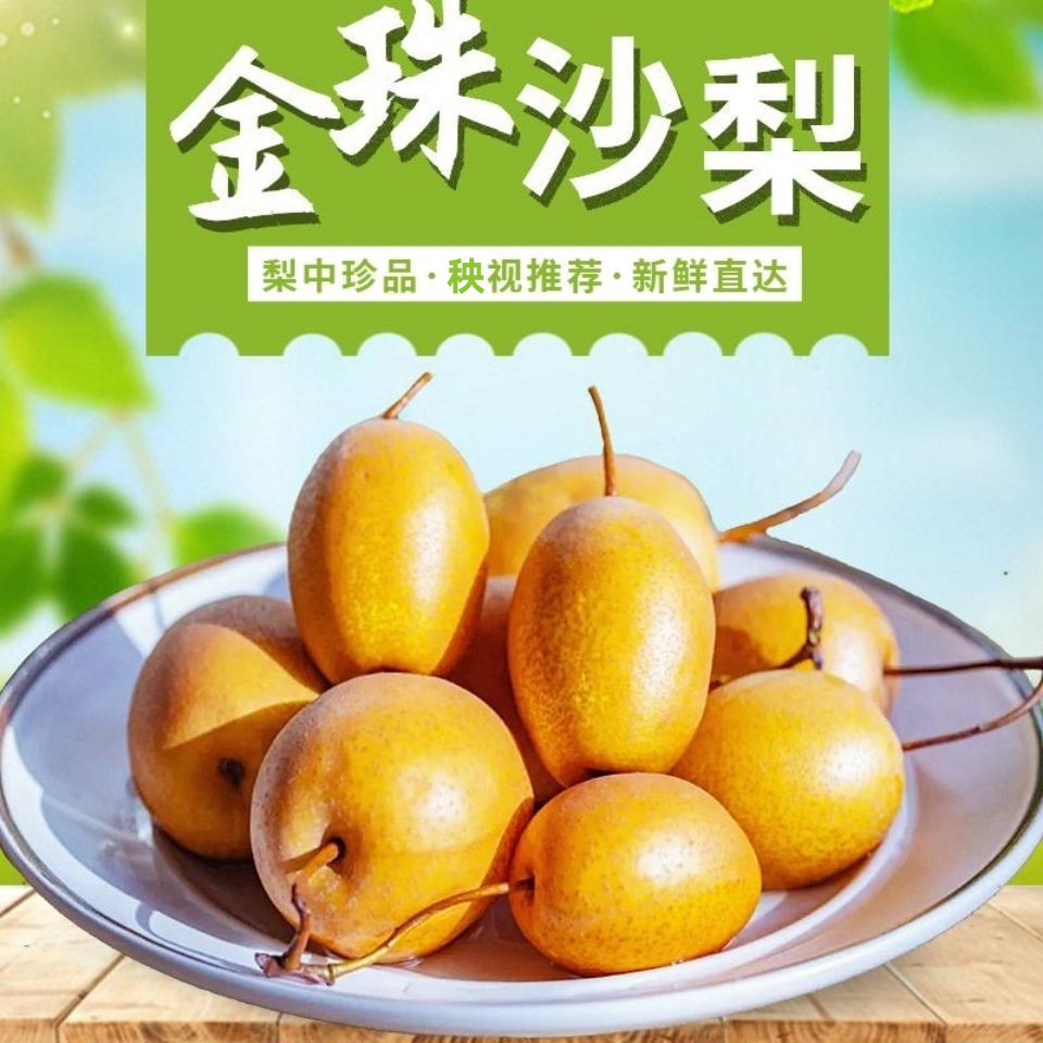 洛宁金珠果沙梨子新鲜野生梨子孕妇水果鸟梨沙梨可以腌制泡酸的梨
