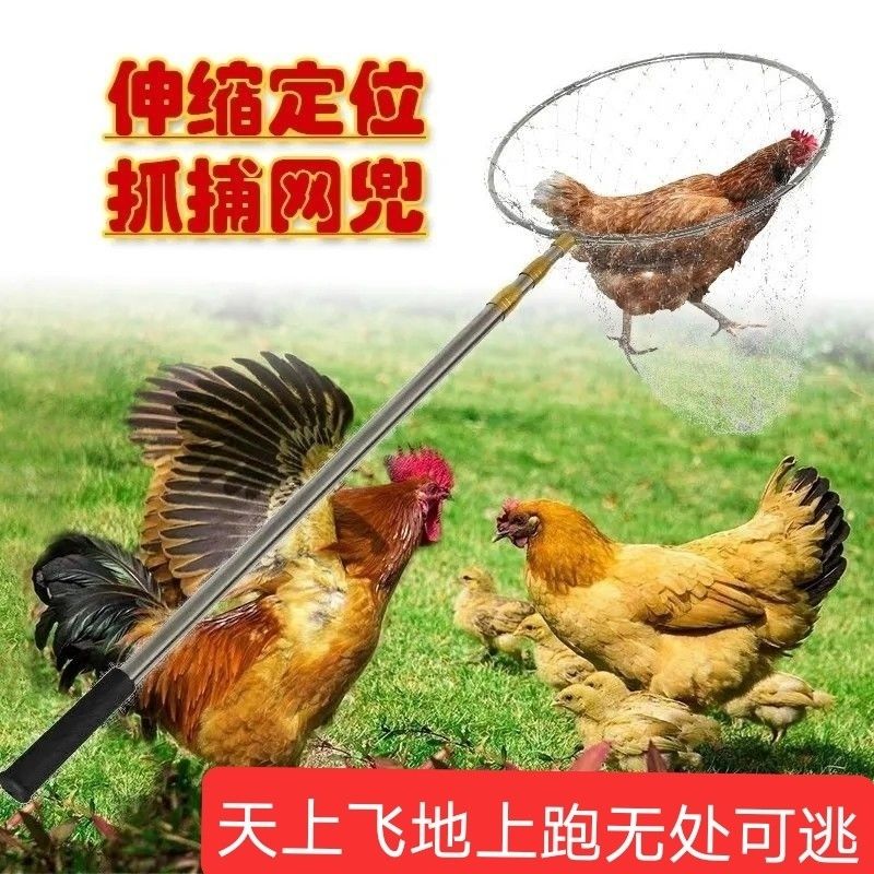 抓鸡网兜捉鸡伸缩鸡鸭全套鸽子养殖场散养全自动土鸡家禽神器工具