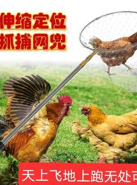 抓鸡网兜捉鸡伸缩鸡鸭全套鸽子养殖场散养全自动土鸡家禽神器工具