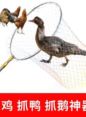 抓鸡专用网户外捕流浪猫鸽子抓鸭网兜抄网兔子捉猫鹅捕鸡套网扣