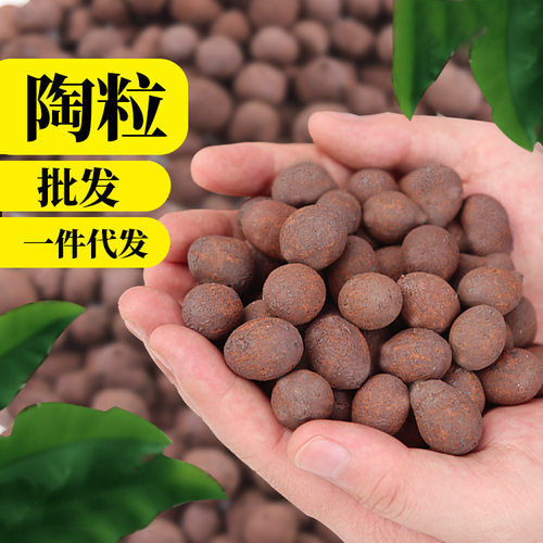 厂家直销优质陶粒花卉陶粒养花缓解烂根透气铺面垫底水培回填