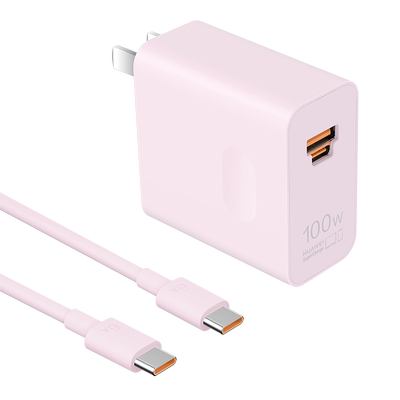 华为全能充电器（Max100W)）