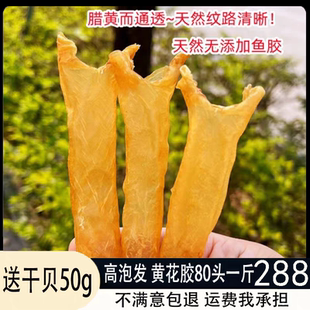 送干贝花胶鱼胶一斤60头筒胶干货黄花胶鱼鳔鱼肚鱼胶花胶干货礼盒