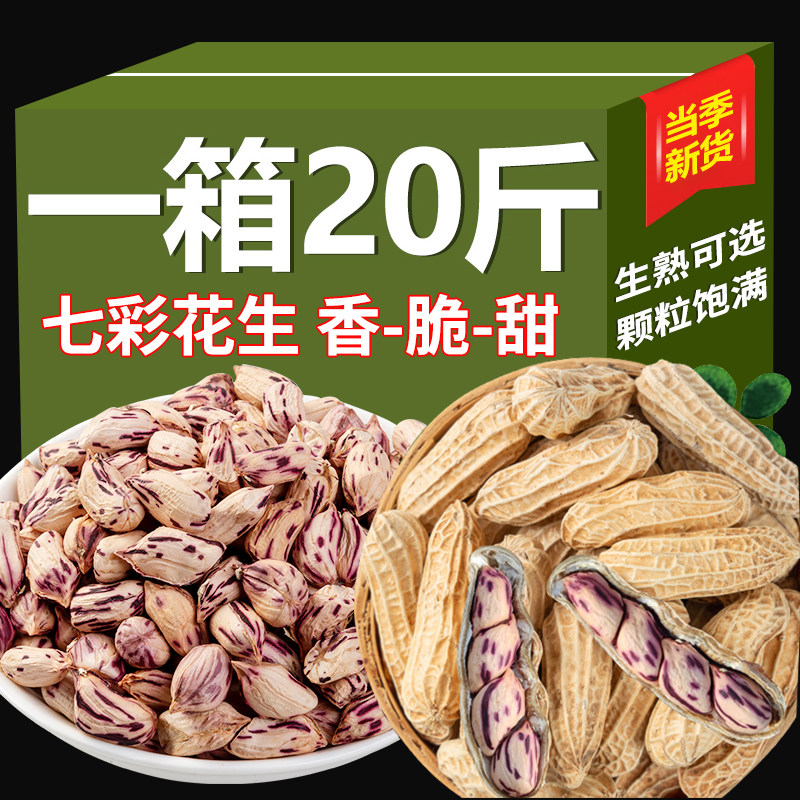 2024新云南七彩花生带壳晒干生熟花生野地特好七彩花生种植