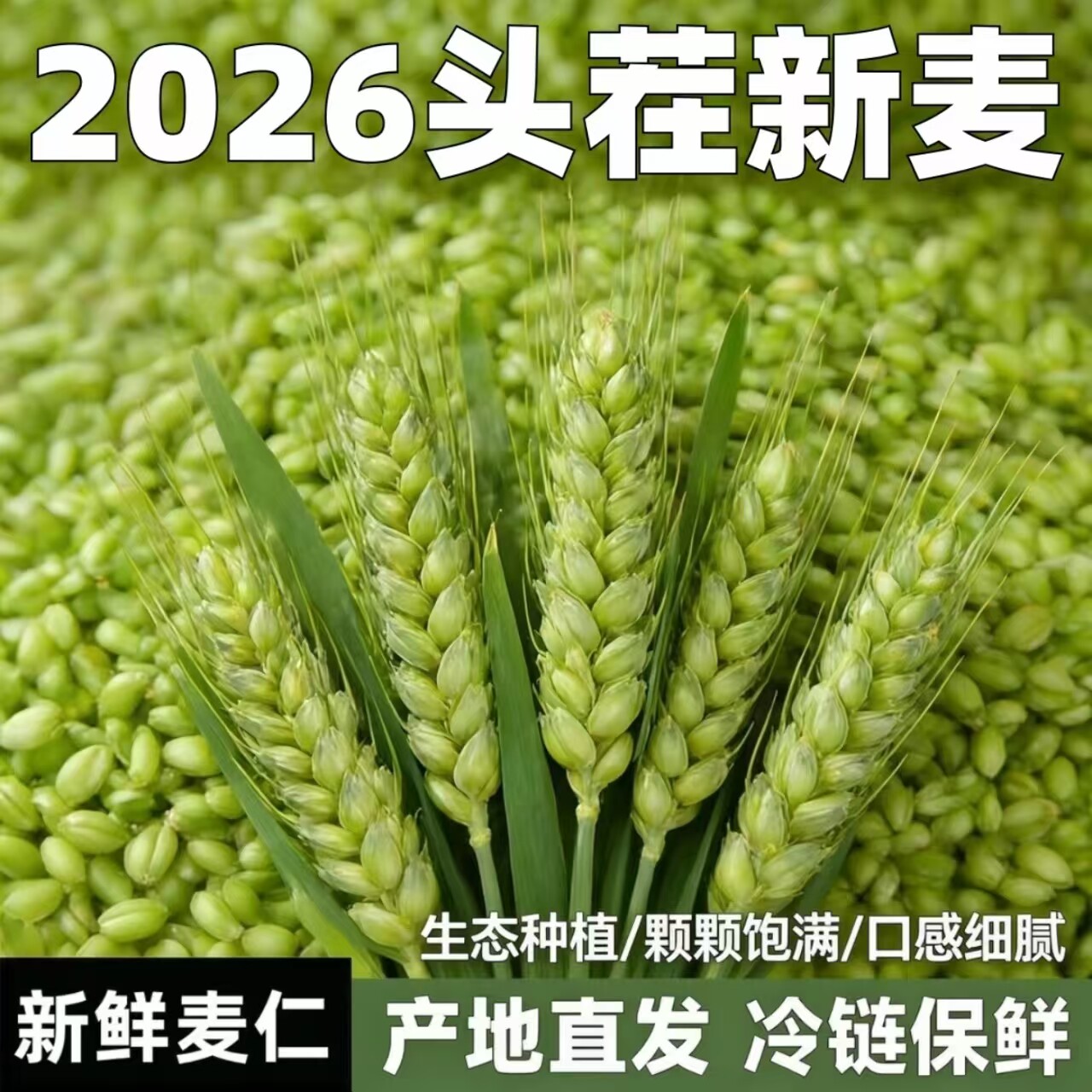 青麦仁新鲜青麦粒米2025去皮即食煮粥河南正宗青小麦胚芽鲜粥杂粮