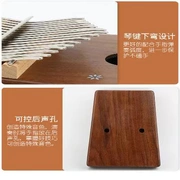 Rat ngón tay cái piano 17 âm thanh Kalimbaqin kalimba ngón tay đàn piano ngón tay cái piano chơi nhạc cụ cầm tay - Nhạc cụ phương Tây