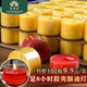 酥油灯8小时塑胶壳不变形50粒供佛蜡烛无烟环保佛堂寺院供灯透明