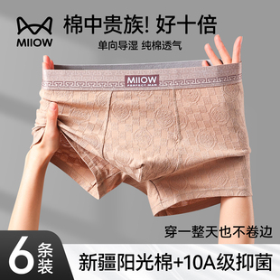 衩运动男款 猫人纯棉男士 高档青少年男生四角平角短裤 2025新款 内裤