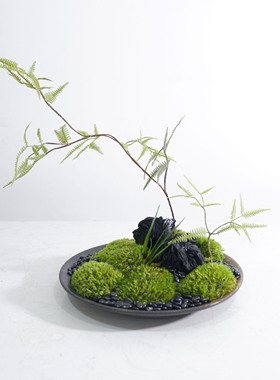 中式永生苔藓摆设茶室盆景装饰