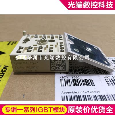 SKIIP11AC126V1 SKIIP11AC12T4V1 SKIIP13AC126V1 SKIIP12AC126V1