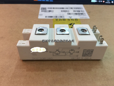 全新SKM75GB128D SKM75GB123D SKM100GB128DE SKM100GB123D SKM50